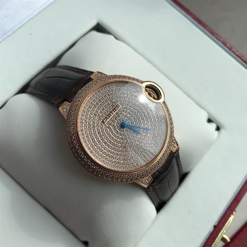 202457162159986 1350